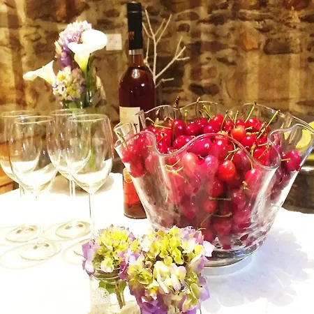 بيت للعطل Casa Da Ferreira_vila Real فيلا ريال